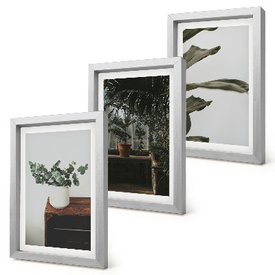Triptyk tavla med ram Krukväxter med rustika blad