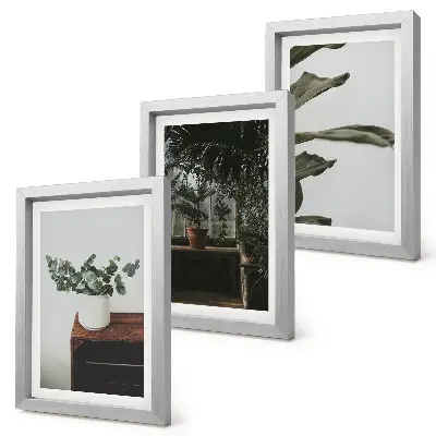 Triptyk med krukväxter med rustika blad tavla med ram