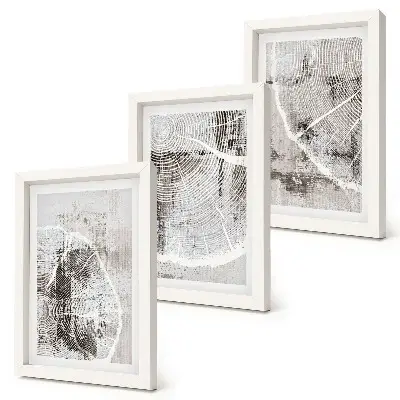 Posterpaket med träådringsmönster i nyanser av grått och vitt