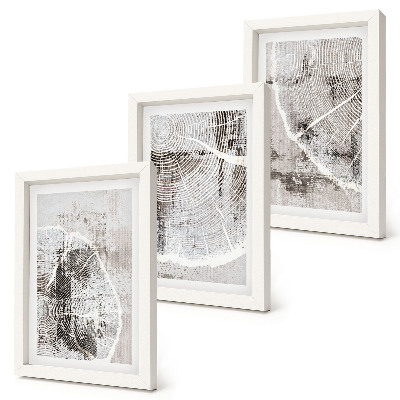 Posterpaket Träådringsmönster i nyanser av grått och vitt