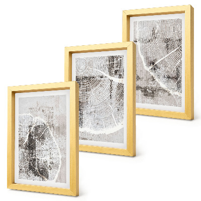 Posterpaket Träådringsmönster i nyanser av grått och vitt