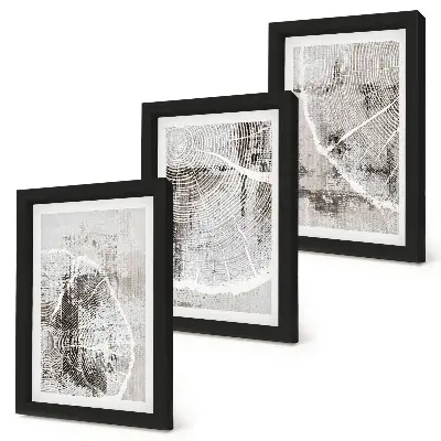 Posterpaket med träådringsmönster i nyanser av grått och vitt
