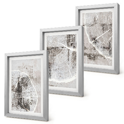 Posterpaket Träådringsmönster i nyanser av grått och vitt