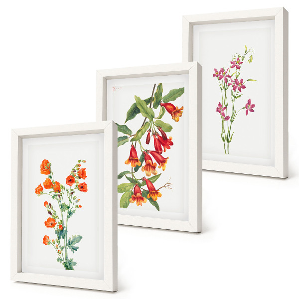 Tavelvägg med 3 tavlor Vintage retro blommålning