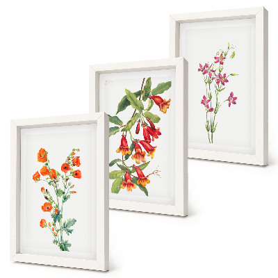 Tavelvägg med 3 tavlor Vintage retro blommålning