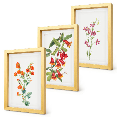 Tavelvägg med 3 tavlor Vintage retro blommålning