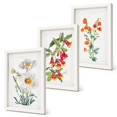 Posterpaket Blommiga kompositioner retro vintagemålning