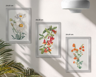Posterpaket Blommiga kompositioner retro vintagemålning