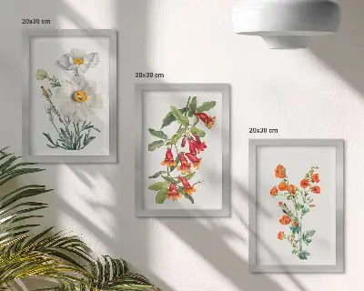 Blommiga kompositioner retro vintagemålning posterpaket