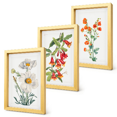 Posterpaket Blommiga kompositioner retro vintagemålning