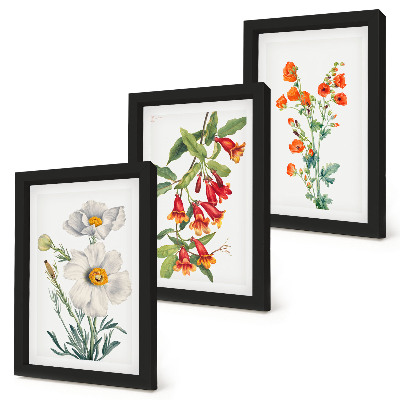 Posterpaket Blommiga kompositioner retro vintagemålning
