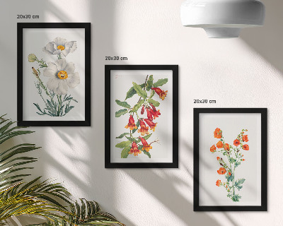 Posterpaket Blommiga kompositioner retro vintagemålning