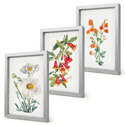 Posterpaket Blommiga kompositioner retro vintagemålning