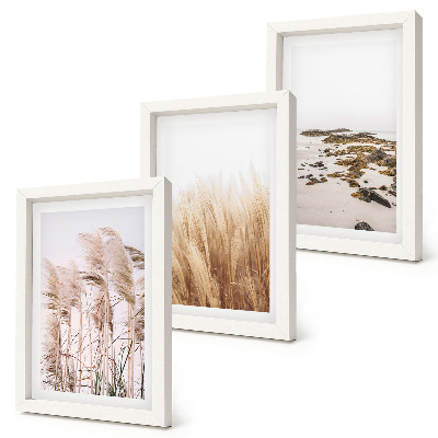 Posterpaket Pampasgräsfält och en bohemisk strand