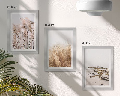 Posterpaket Pampasgräsfält och en bohemisk strand