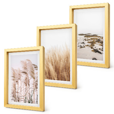 Posterpaket Pampasgräsfält och en bohemisk strand