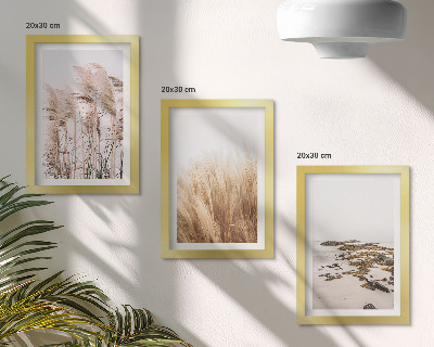 Posterpaket Pampasgräsfält och en bohemisk strand