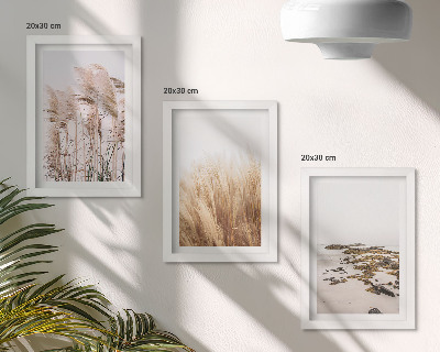 Posterpaket Pampasgräsfält och en bohemisk strand