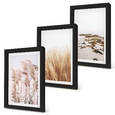 Posterpaket Pampasgräsfält och en bohemisk strand