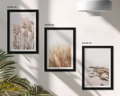 Posterpaket Pampasgräsfält och en bohemisk strand