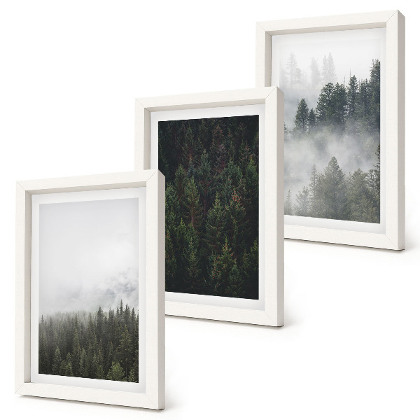 Posterpaket Gröna skogar i en dimmig naturlig miljö