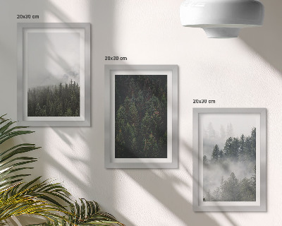Posterpaket Gröna skogar i en dimmig naturlig miljö