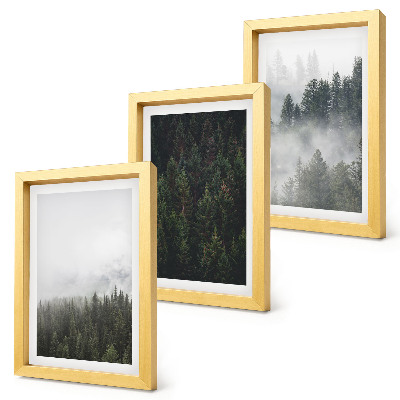 Posterpaket Gröna skogar i en dimmig naturlig miljö