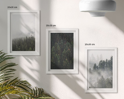 Posterpaket Gröna skogar i en dimmig naturlig miljö
