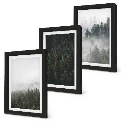 Posterpaket Gröna skogar i en dimmig naturlig miljö