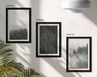 Posterpaket Gröna skogar i en dimmig naturlig miljö