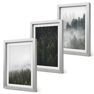 Posterpaket Gröna skogar i en dimmig naturlig miljö