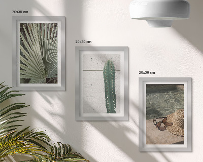 Posterpaket Tropiska växter och accessoarer för semestern vid vattnet