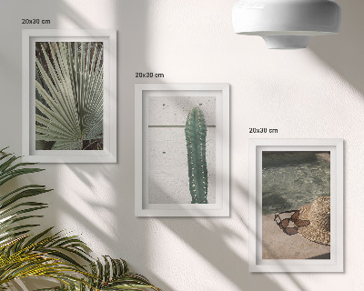 Posterpaket Tropiska växter och accessoarer för semestern vid vattnet