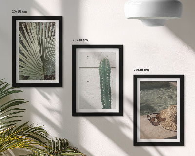 Posterpaket Tropiska växter och accessoarer för semestern vid vattnet