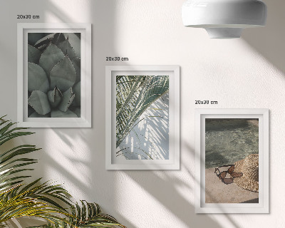 Posterpaket Tropiska växter och sommarsemesterdetaljer
