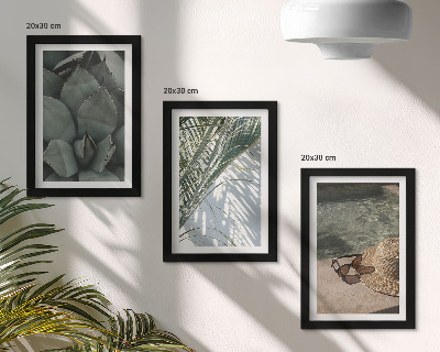 Posterpaket Tropiska växter och sommarsemesterdetaljer