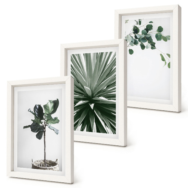 Tavelvägg med 3 tavlor Gröna växter i minimalistisk stil