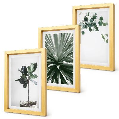 Tavelvägg med 3 tavlor Gröna växter i minimalistisk stil