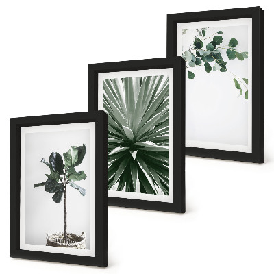 Tavelvägg med 3 tavlor Gröna växter i minimalistisk stil