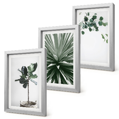 Tavelvägg med 3 tavlor Gröna växter i minimalistisk stil