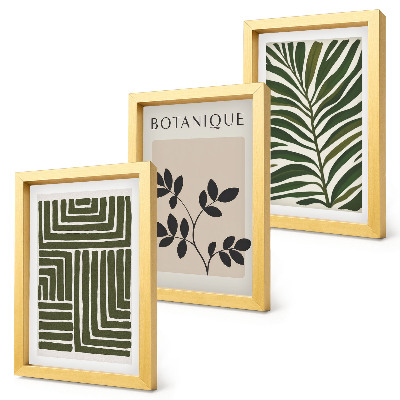 Tavelvägg med 3 tavlor Botaniska kompositioner i stil med boho minimalism