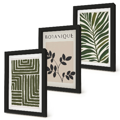 Tavelvägg med 3 tavlor Botaniska kompositioner i stil med boho minimalism