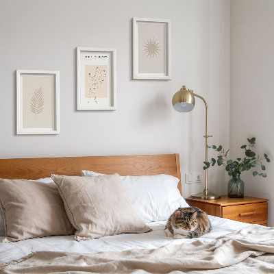 Posterpaket En samling minimalistiska former och naturliga former
