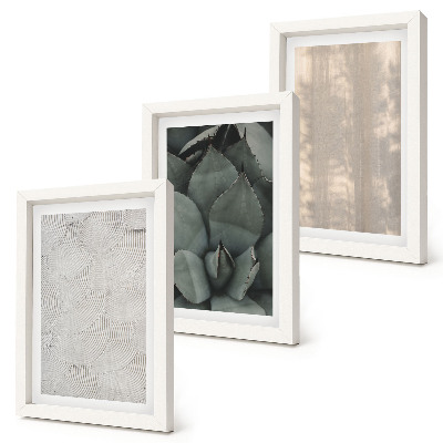 Posterpaket Sommartexturer närbild i ett tropiskt klimat