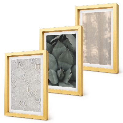 Posterpaket Sommartexturer närbild i ett tropiskt klimat