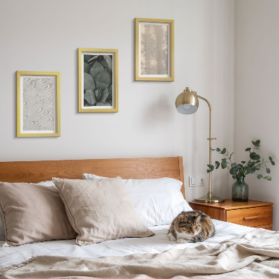 Posterpaket Sommartexturer närbild i ett tropiskt klimat