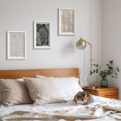 Posterpaket Sommartexturer närbild i ett tropiskt klimat
