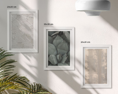 Posterpaket Sommartexturer närbild i ett tropiskt klimat