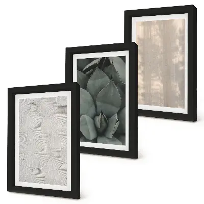 Posterpaket sommartexturer i tropiskt klimat