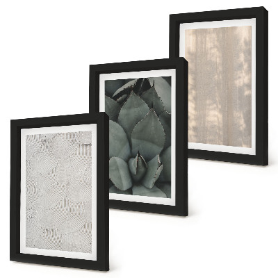 Posterpaket Sommartexturer närbild i ett tropiskt klimat